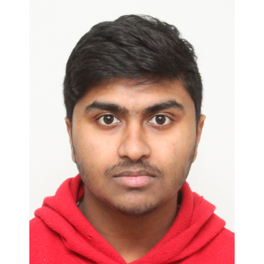 Visa Photo